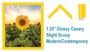 1.25 Inch Glossy Yellow Slight Scoop Poster Frames